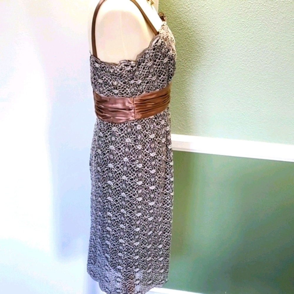 R&M RICHARDS EMPIRE WAIST SLEEVELESS LACE DRESS - Picture 5 of 9